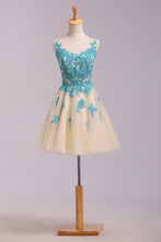 Load image into Gallery viewer, 2024 Bateau A Line Homecoming Dress Short/Mini Embellished With Applique Tulle