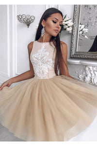 Charming Sleeveless Round Neck With Appliques Homecoming Dresses