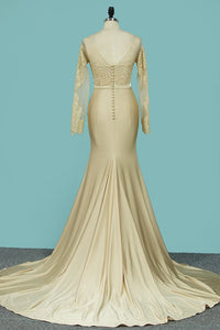 2024 Mermaid Wedding Dresses Scoop Long Sleeves Spandex With Applique