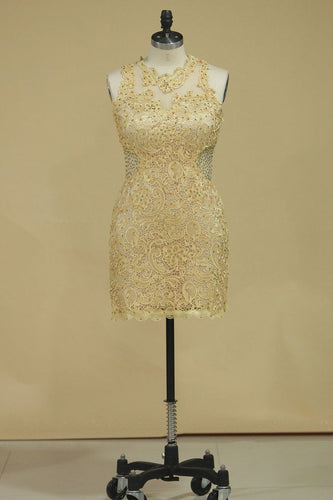 2024 Scoop With Applique Sheath Prom Dresses Lace Short/Mini