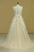 2024 Plus Size V Neck Wedding Dresses Tulle With Applique Court Train Tulle