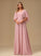 Floor-Length Neckline Fabric Lace V-neck A-Line Embellishment Silhouette Length Arielle A-Line/Princess Floor Length Bridesmaid Dresses
