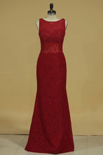 Load image into Gallery viewer, 2024 Scoop Evening Dresses Lace Floor Length Mermaid
