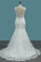 2024 Mermaid Wedding DressesV Neck Tulle With Applique Mermaid Court Train