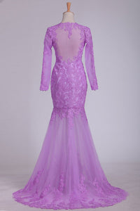 2024 Long Sleeves Scoop Prom Dresses Tulle With Applique Mermaid