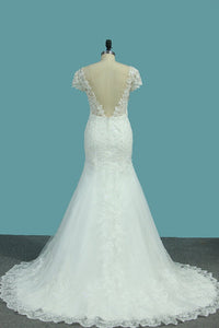 2024 Short Sleeves V-Neck Tulle Mermaid/Trumpet Wedding Dresses With Applique