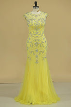 Load image into Gallery viewer, 2023 Hot Scoop Prom Dress Beaded And Fitted Bodice Mermaid/Trumpet PDJHS184