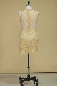2024 Scoop With Applique Sheath Prom Dresses Lace Short/Mini
