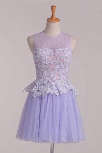 2024 Homecoming Dresses A Line Scoop With Applique Tulle & Lace Short/Mini