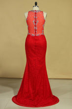 Load image into Gallery viewer, 2024 Red Plus Size Prom Dresses Scoop Beaded Bodice Sweep Train Lace Mermaid