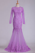 Load image into Gallery viewer, 2024 Long Sleeves Scoop Prom Dresses Tulle With Applique Mermaid