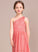 Junior Bridesmaid Dresses One-Shoulder Chiffon A-Line Lace Cameron Floor-Length