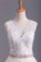 2023 Bridal Dresses A Line V-Back Tulle Chapel Train V-Back Applique & Sash