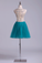 2024 Scoop A Line Tulle Short/Mini Homecoming Dresses Fashion&Cute