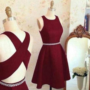 Lovely Cute Prom Dress Short Prom Dresses Homecoming Dress Prom Party Dress RS919