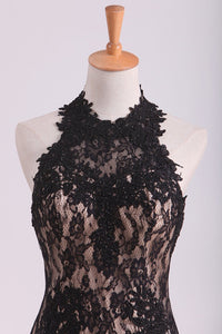 2024 Black Halter Prom Dresses Mermaid Lace Floor Length Open Back