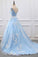 2023 Sky Blue Appliques Charming Ball Gown Off-the-Shoulder V-Neck Prom SRS10100