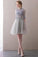 A Line Half Sleeve Lace Short Prom Dresses High Neck Tulle Homecoming Dresses RS819