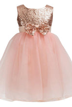 Load image into Gallery viewer, Little Girls Sequin Mesh Tulle Baby Dress Flower Girl Ball Gown Party Dress Prom FG1006