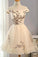 Off the Shoulder Short Tulle Homecoming Gown with Appliques A line Homecoming Dress H1294