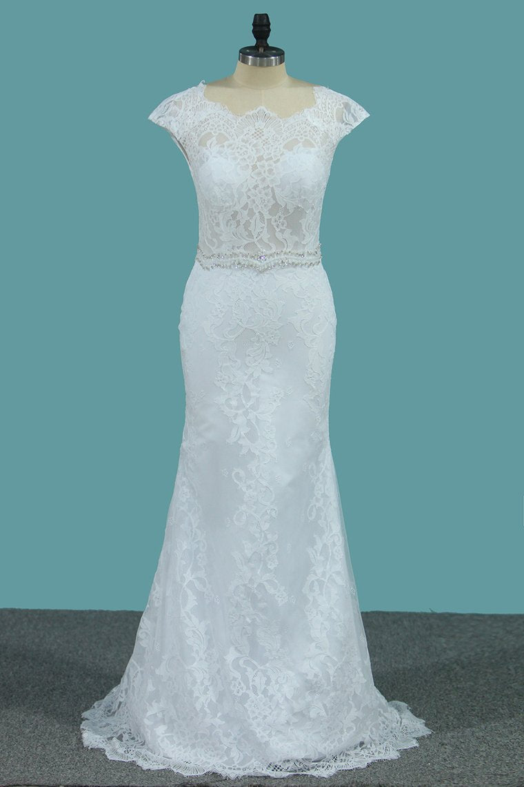 2024 Lace Wedding Dresses Scoop With Beaded Waistline Covered Button Open Back