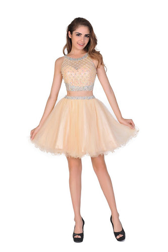 2023 A-Line Homecoming Dresses Short/Mini Scoop Beaded Bodice Tulle
