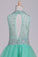 2024 Homecoming Dresses High Neck A Line Short/Mini Beaded Bodice Tulle Open Back