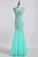 2024 Prom Dresses V Neck Mermaid/Trumpet Champagne With Applique&Beads Floor Length Tulle