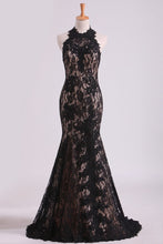 Load image into Gallery viewer, 2024 Black Halter Prom Dresses Mermaid Lace Floor Length Open Back