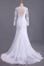 Load image into Gallery viewer, 2024 Long Sleeves V Neck Open Back Wedding Dresses Tulle With Applique Sheath