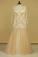 Load image into Gallery viewer, 2024 Prom Dresses V Neck Long Sleeves Sweep Train Tulle &amp; Lace