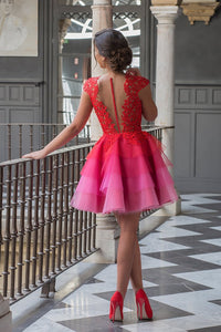 2024 Red Lace Appliques Top Cap Sleeves Multi Colors Tulle Short Homecoming Dresses RS645