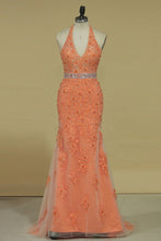 Load image into Gallery viewer, 2024 Column V Neck Prom Dresses Tulle With Beading And Applique Open Back