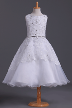 Load image into Gallery viewer, 2024 Bateau A Line Flower Girl Dresses With Applique &amp; Beads Tulle