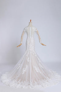 2024 Bateau Long Sleeves Wedding Dress Mermaid/Trumpet Court Trian With Applique
