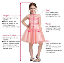 Load image into Gallery viewer, A Line Pink Princess Scoop Neck Short Sleeves Bowknot Lace Appliques Flower Girl Dresses RS860