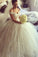 2023 Tulle & Lace Off The Shoulder Wedding Dresses Ball Gown With Applique