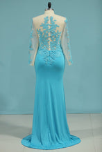 Load image into Gallery viewer, 2024 Spandex Scoop Long Sleeves Mother Of The Bride Dresses With Applique