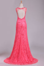 Load image into Gallery viewer, 2024 Sexy Open Back Scoop Mermaid Lace Prom Dresses Sweep Train