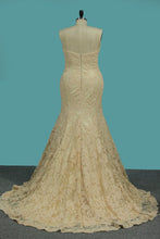 Load image into Gallery viewer, 2024 Mermaid/Trumpet Lace Long Sleeves Court Train Zipper Back