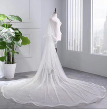 Load image into Gallery viewer, Princess Cheap Tulle Long Length Vintage Wedding Veils Bridal Veils RS181
