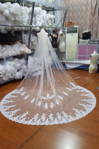 Ivory Lace Tulle Appliques 3D Flowers Wedding Veils RS78